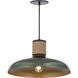 Bingham 1 Light 17.00 inch Pendant