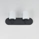 Durham 2 Light 18 inch Black Bath Vanity Wall Light