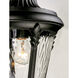 Sentry 1 Light 16.25 inch Black Outdoor Wall Mount