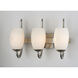 Taylor 3 Light 18 inch Satin Nickel Bath Vanity Wall Light