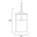 Coldwater 1 Light 9 inch Burnished Outdoor Hanging Lantern in Honey