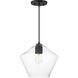 Geode 1 Light 11.75 inch Black Single Pendant Ceiling Light