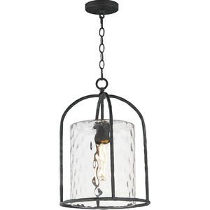 Del Mar 1 Light 13 inch Blacksmith Outdoor Pendant in Water