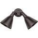 Spots 2 Light 13 inch Tawny Bronze Outdoor Wall Mount