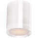 Lightray LED LED 5 inch White Outdoor Flush Mount