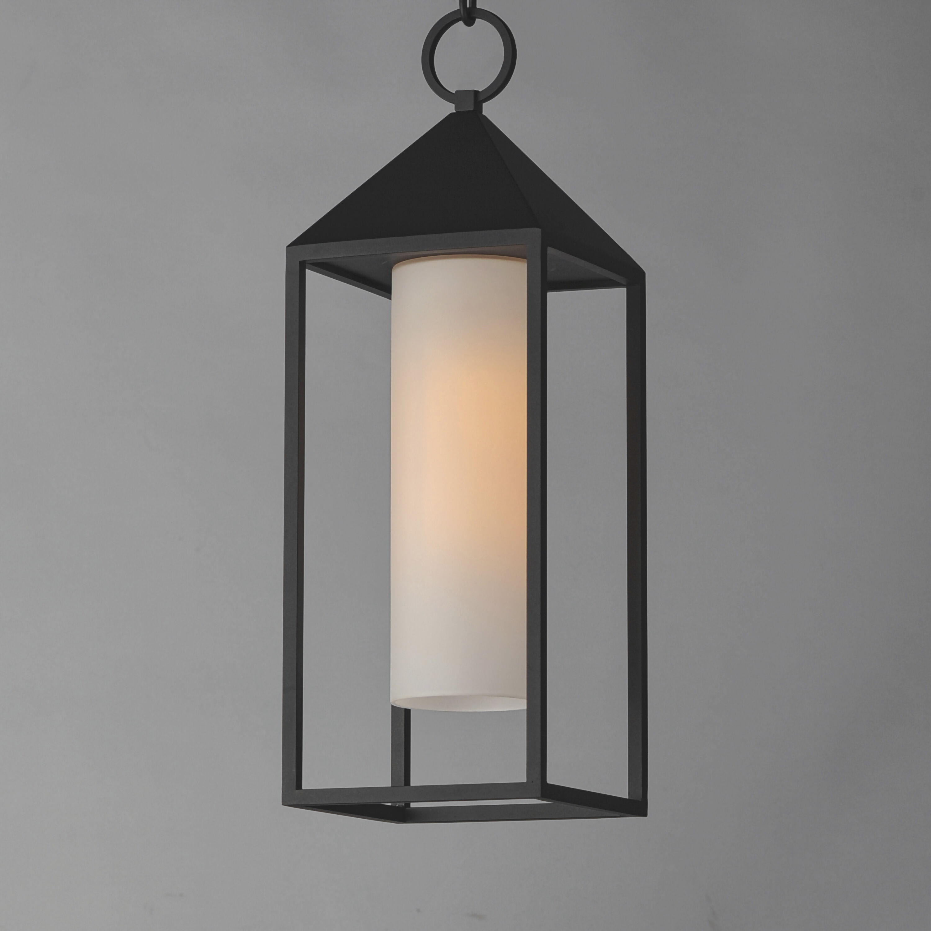 Aldous 1 Light 7 inch Black Outdoor Pendant