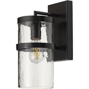 Chamberlain 1 Light 13 inch Dark Bronze Outdoor Wall Mount in Textured Clear