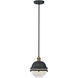 Portside 1 Light 10 inch Oil Rubbed Bronze and Antique Brass Outdoor Pendant