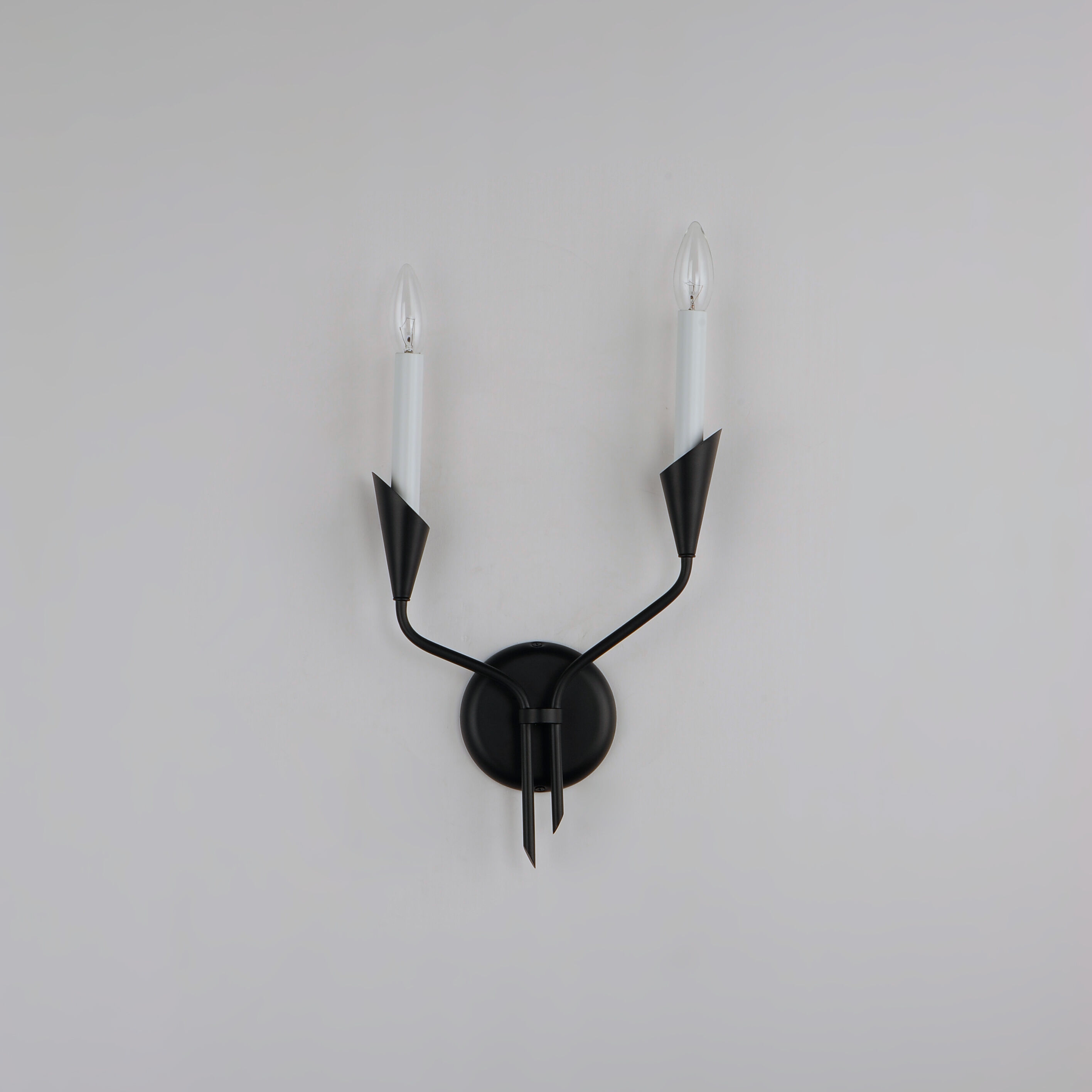 Calyx Wall Sconce Wall Light