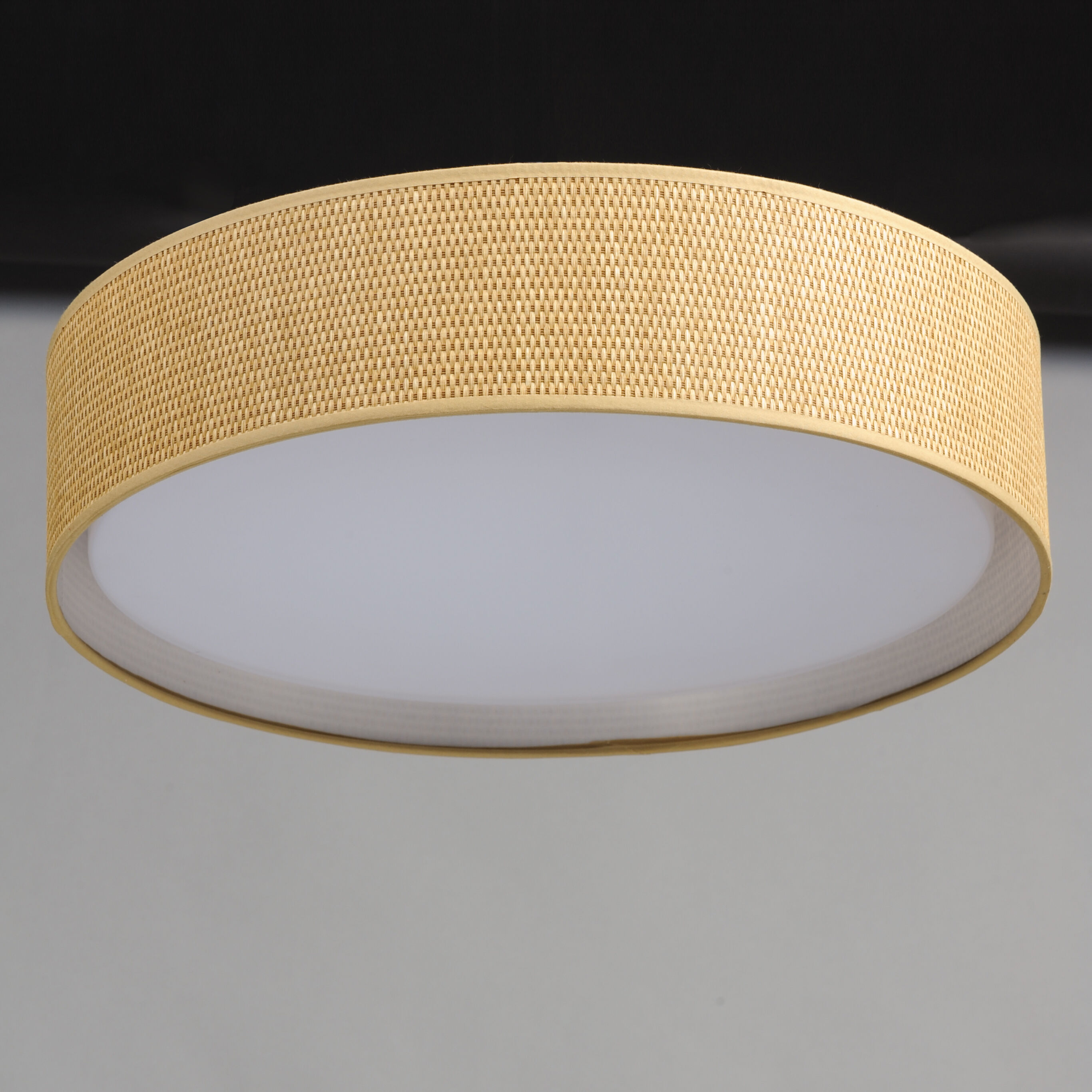 Prime LED 20 inch Flush Mount Ceiling Light