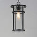 Clyde Vivex 1 Light 9 inch Black Outdoor Pendant