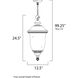 Carriage House VX 3 Light 12.5 inch Oriental Bronze Outdoor Hanging Lantern