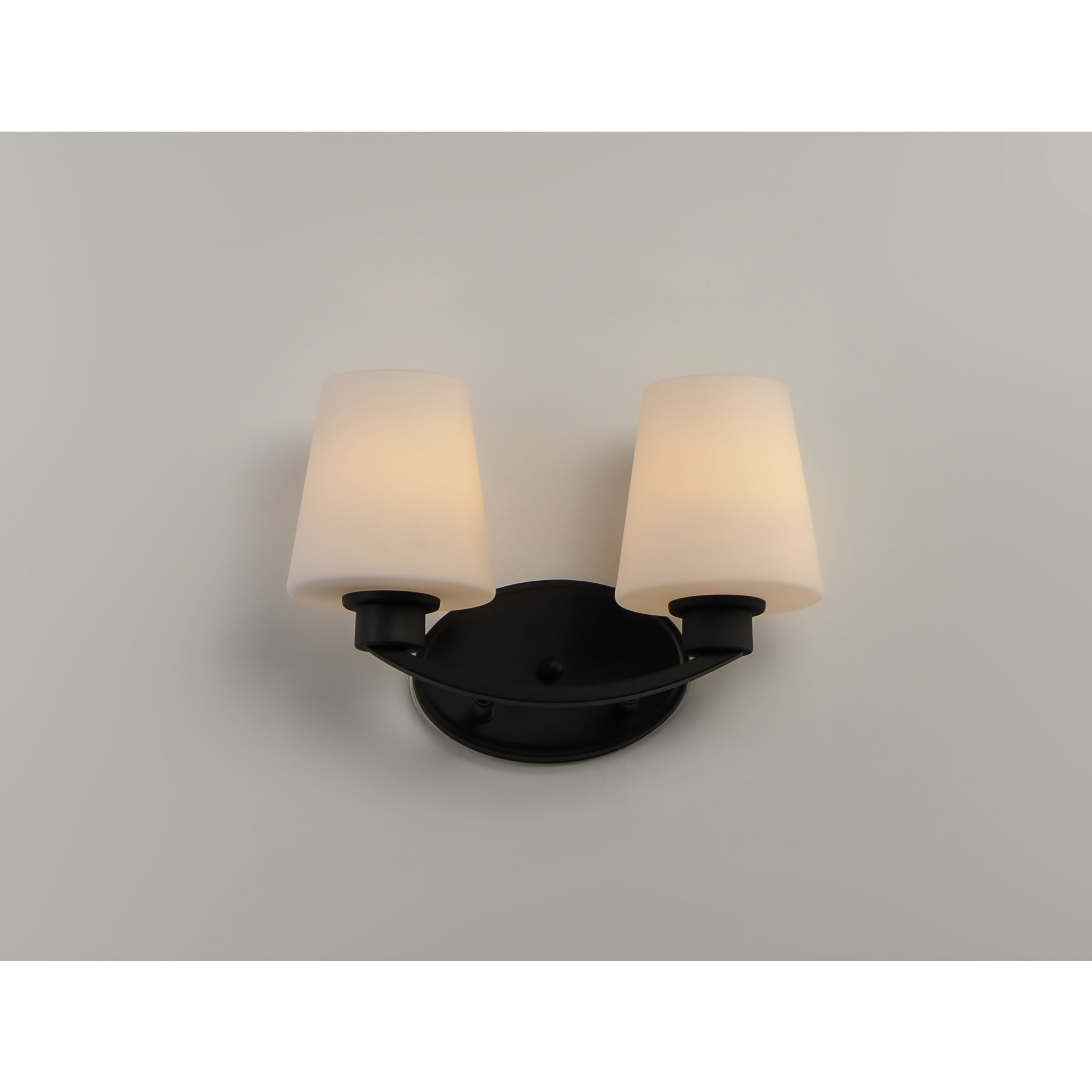 Shelter 2 Light 13 inch Black Bath Vanity Wall Light