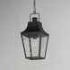 Storybook 1 Light 9.5 inch Black Outdoor Pendant