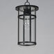 Clyde Vivex 1 Light 9 inch Black Outdoor Pendant