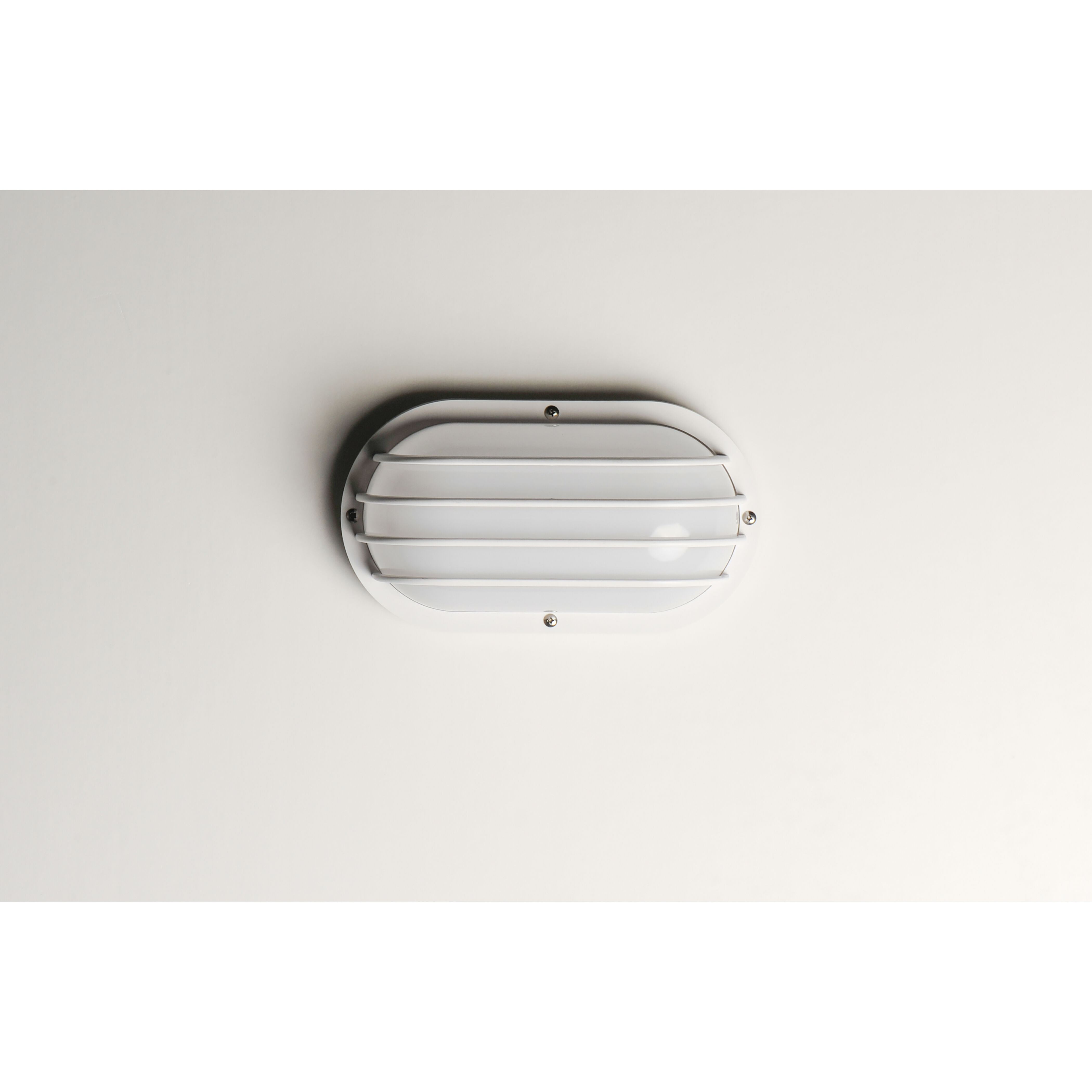 Bulwark 1 Light 6 inch White Outdoor Wall Mount