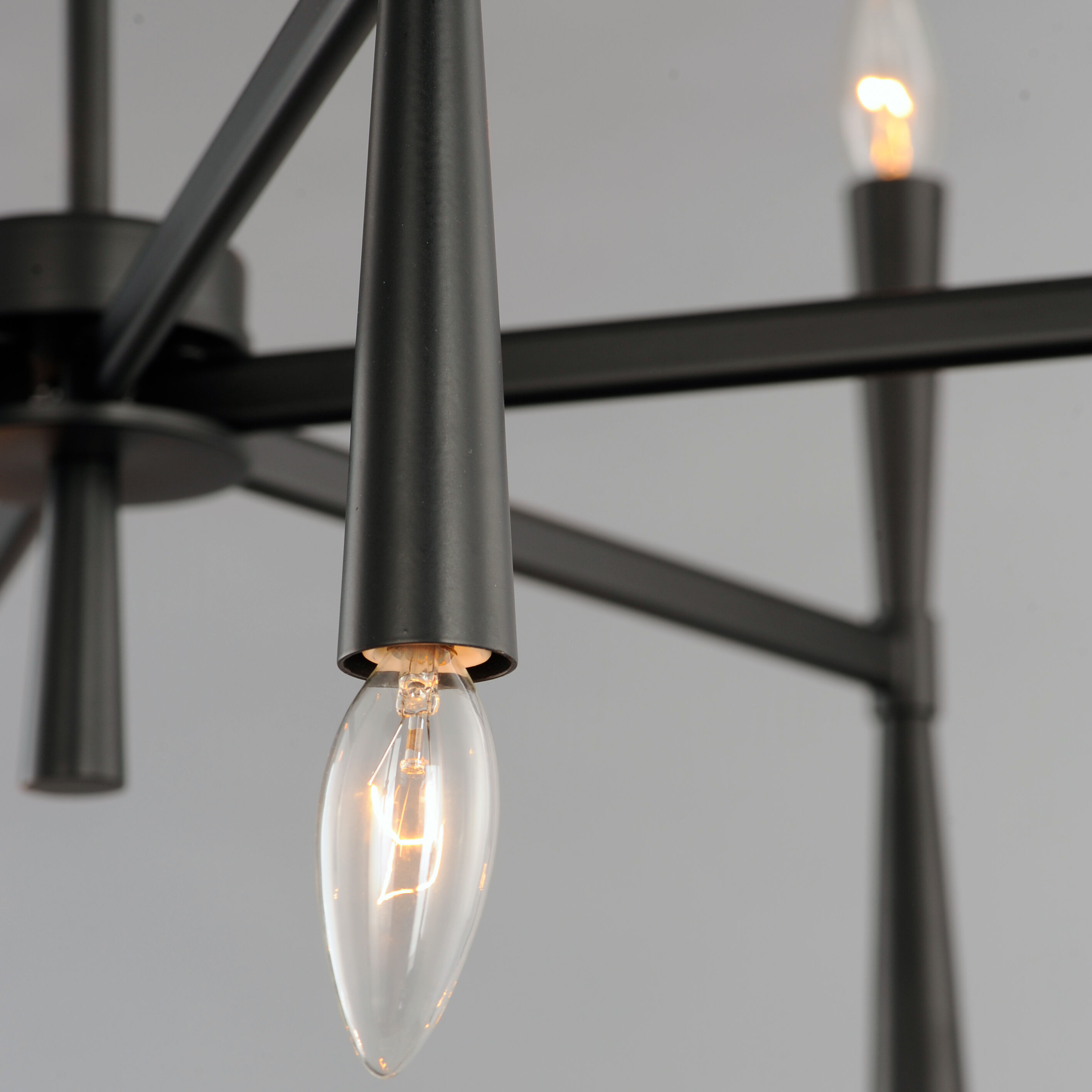 Rome 12 Light 29 inch Black Chandelier Ceiling Light