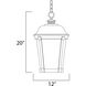 Dover DC 3 Light 12 inch Bronze Outdoor Hanging Lantern