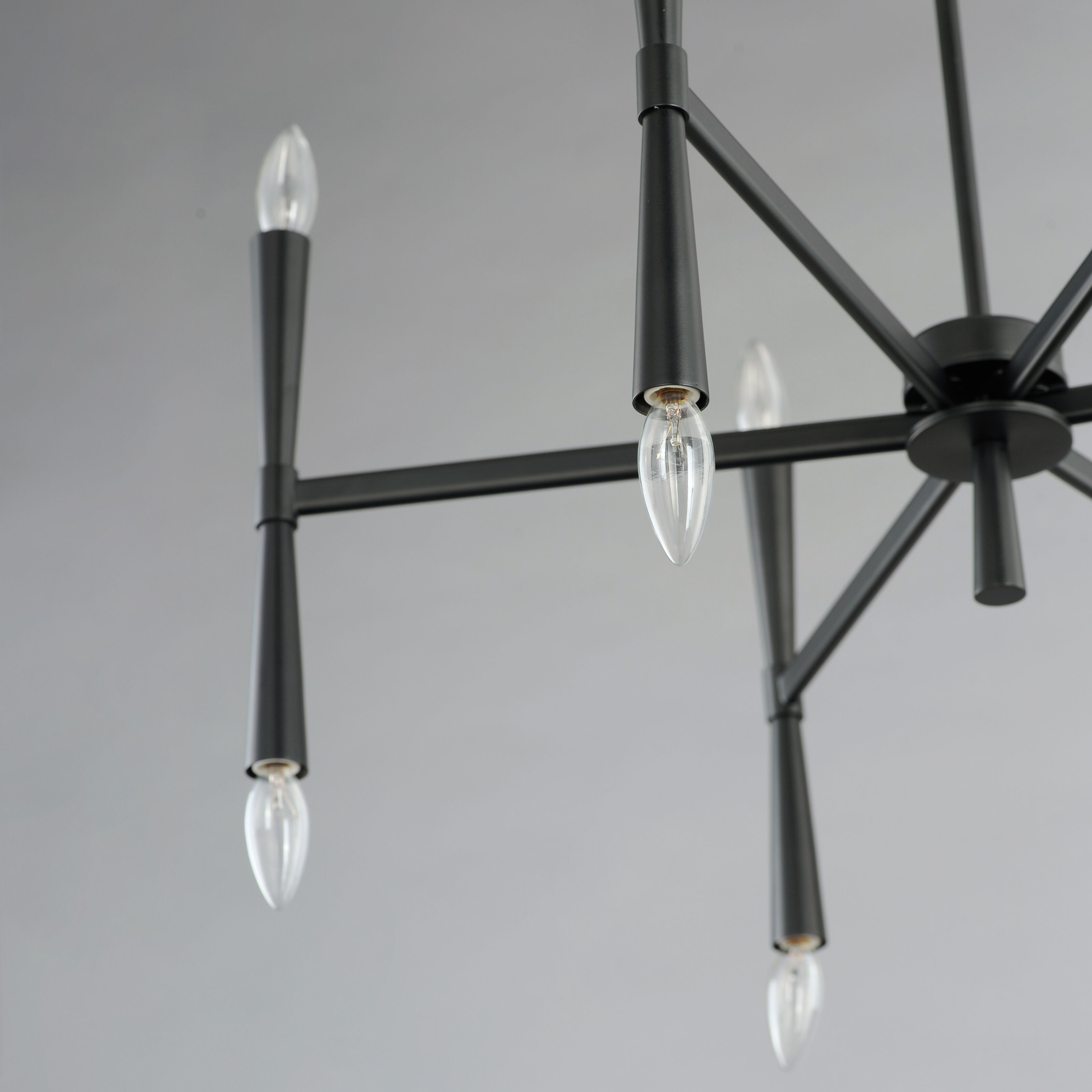 Rome 12 Light 29 inch Black Chandelier Ceiling Light