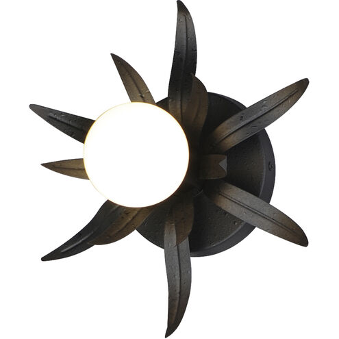 Paloma 1 Light 10 inch Anthracite ADA Wall Sconce Wall Light