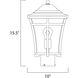 Balboa VX 1 Light 15.5 inch Copper Oxide Outdoor Pole/Post Mount
