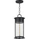 Windsor 1 Light 8 inch Black Patina Outdoor Pendant