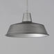 Pier M 1 Light 14 inch Weathered Zinc Outdoor Pendant, X-Large