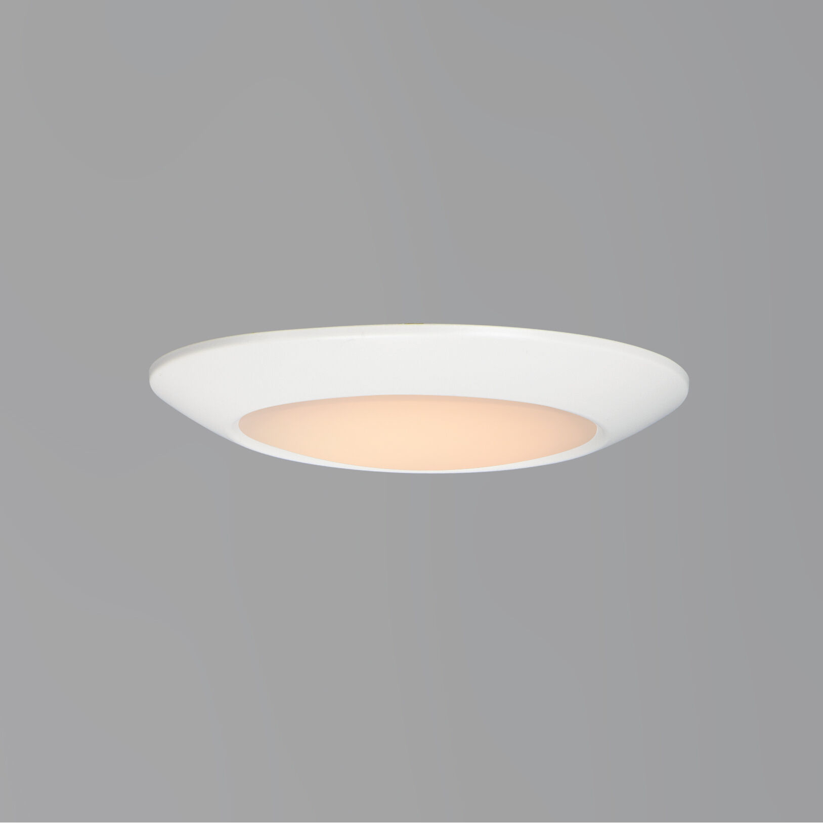 Diverse LED LED 6.25 inch White Flush Mount Ceiling Light