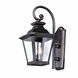 Knoxville 3 Light 22.5 inch Bronze Outdoor Wall Mount