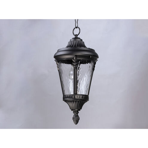 Sentry 1 Light 9 inch Black Outdoor Hanging Lantern