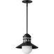 Admiralty LED 12 inch Black Outdoor Pendant