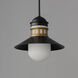 Admiralty 1 Light 12 inch Black and Antique Brass Outdoor Pendant