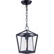 Artisan 1 Light 8 inch Black Outdoor Hanging Lantern