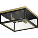 Neoclass 2 Light 13 inch Black and Gold Outdoor Flush Mount