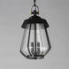 Mariner 2 Light 9.75 inch Black and Antique Brass Outdoor Pendant, Large