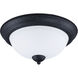 Taylor 2 Light 13.25 inch Flush Mount