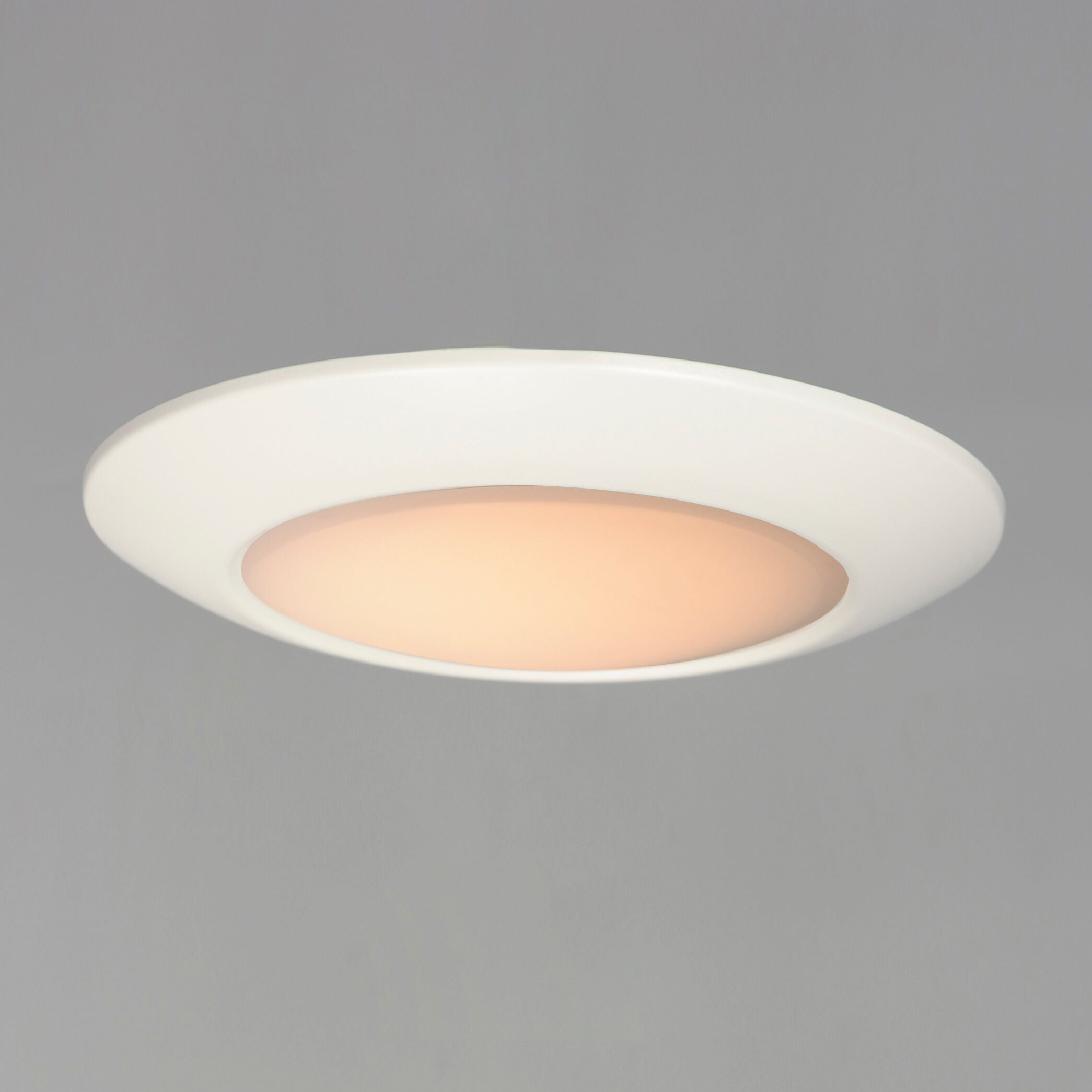 Diverse LED LED 11 inch White Flush Mount Ceiling Light