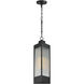 Triform 1 Light 7.5 inch Black and Antique Brass Outdoor Pendant