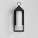 Aldous 1 Light 20.75 inch Black Outdoor Wall Mount