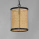 Cane 1 Light 10 inch Black Single Pendant Ceiling Light