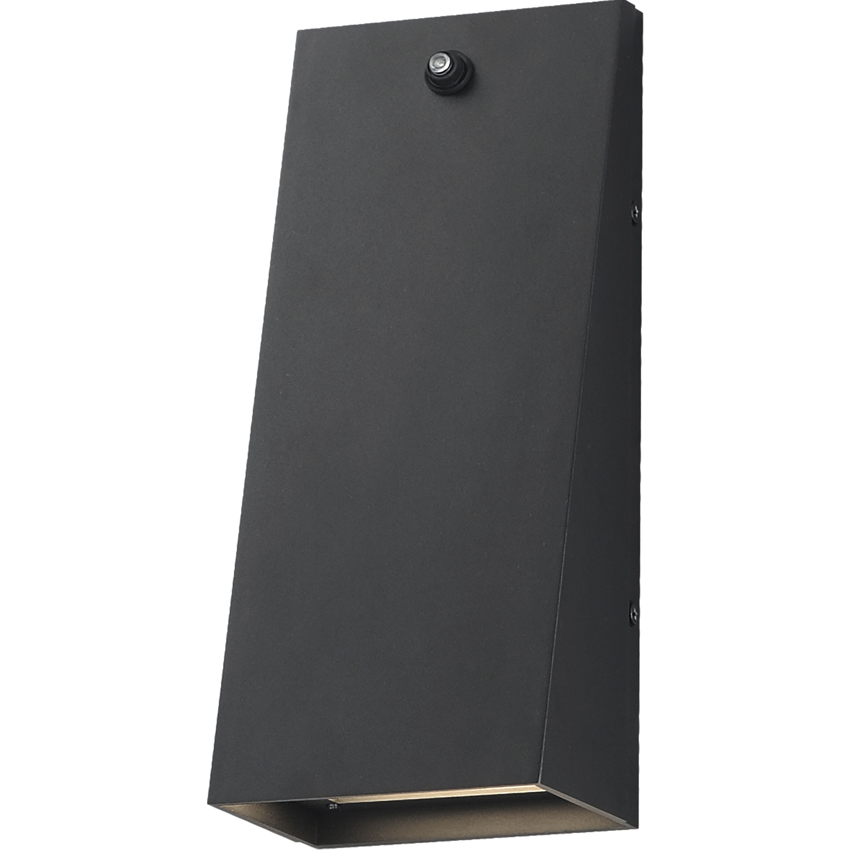 Pathfinder LED 12 inch Black Outdoor Wall Mount