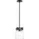 Scoop 1 Light 8 inch Black Single Pendant Ceiling Light in Clear