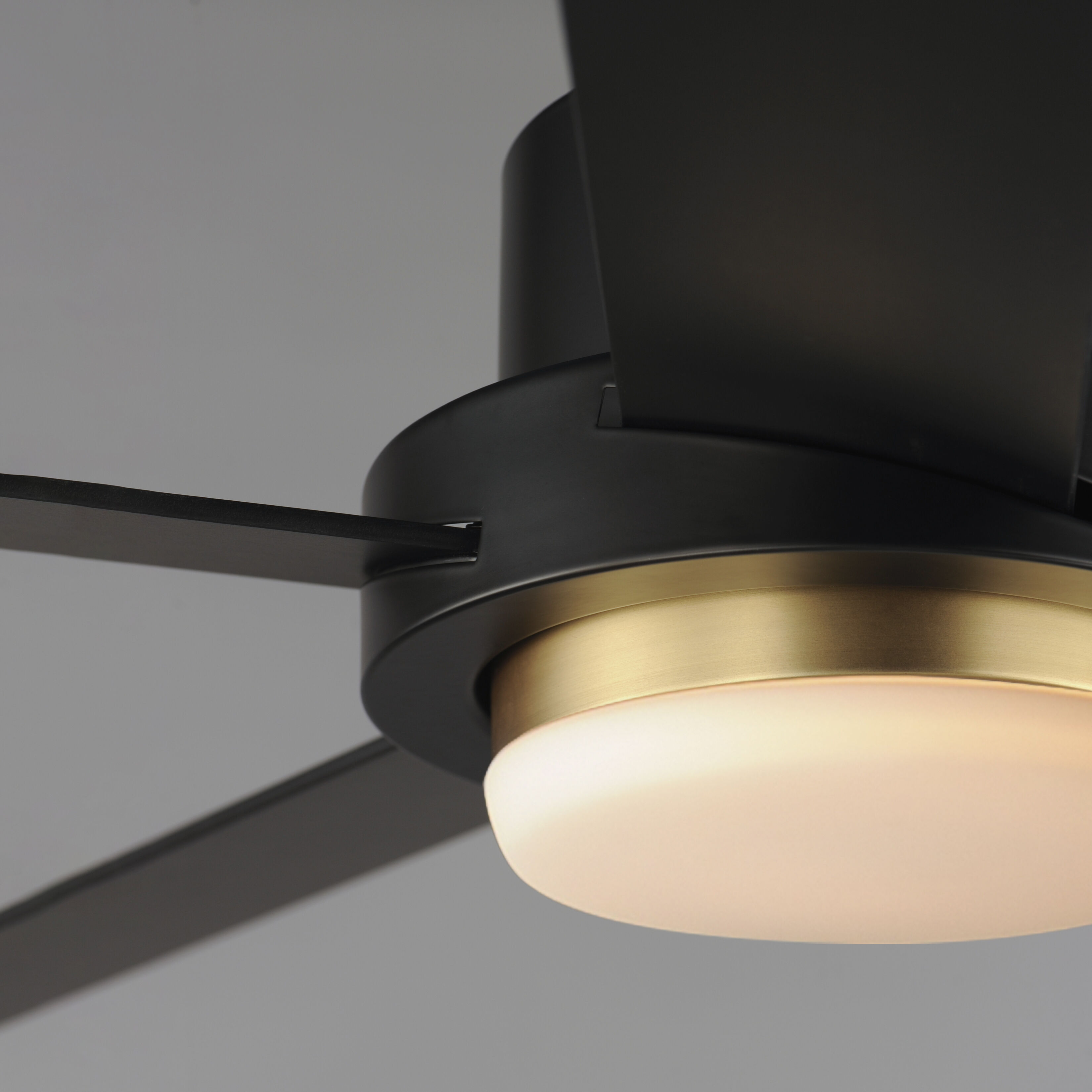 Daisy 60 inch Black and Gold Indoor Ceiling Fan