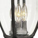 Knob Hill DC 3 Light 24.5 inch Sienna Outdoor Wall Mount