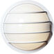 Bulwark LED 10.25 inch White Outdoor Wall Mount