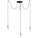 Early Electric 3 Light 11.75 inch Black and Antique Brass Multi-Light Pendant Ceiling Light