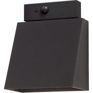 Pathfinder Outdoor Wall Mount