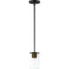 Sleek 1 Light 4 inch Antique Brass and Black Mini Pendant Ceiling Light