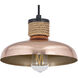 Bingham 1 Light 9.75 inch Copper Single Pendant Ceiling Light
