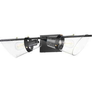 Finch Wall Sconce Wall Light in Seedy, Dark BronzeandAntique Brass